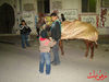 DSC00334.jpg