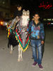 DSC00336.jpg