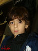 DSC00411.jpg