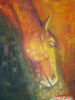 DSC00694.JPG