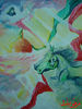 DSC00695.JPG