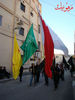 DSC01498.jpg