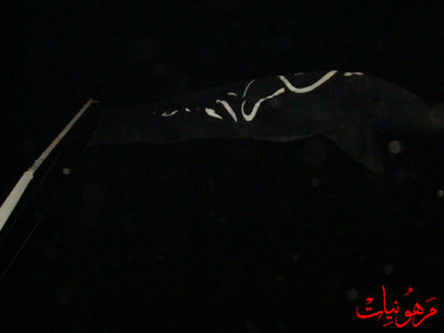 DSC02018.jpg