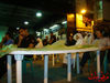 DSC01989.jpg