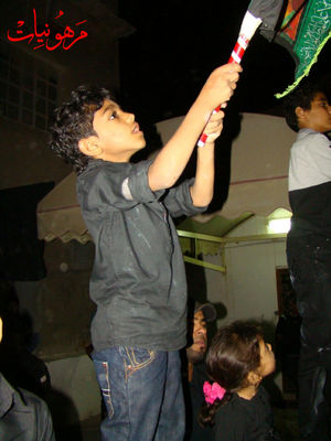 DSC02178.jpg