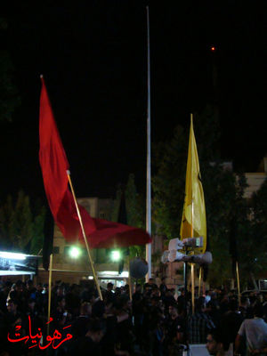 DSC02795.jpg