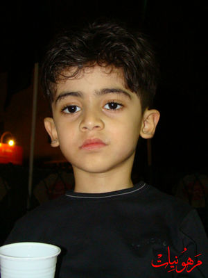 DSC02947.jpg