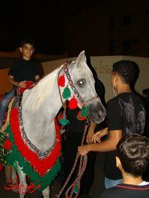 DSC02955.jpg