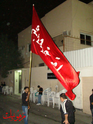 DSC02976.jpg