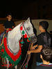 DSC02955.jpg
