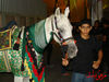 DSC02968.jpg