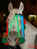DSC03170.JPG