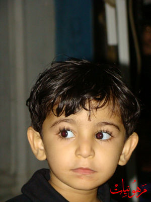 DSC03308.jpg