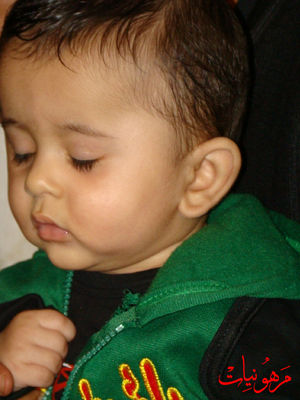 DSC03526.jpg