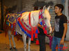 DSC03781.jpg
