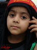 DSC04152.jpg