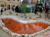 DSC04241.jpg