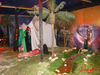 DSC04466.jpg