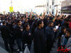 DSC05286.jpg