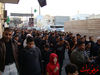Filename=DSC05511.jpg
Filesize=261KiB
Dimensions=640x480
Date added=Jan 14, 2013 DSC05511.jpg