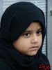 Filename=DSC05568.jpg
Filesize=234KiB
Dimensions=480x640
Date added=Jan 14, 2013 DSC05568.jpg
