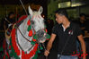 DSC_0122.jpg