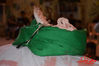 DSC_0132.jpg