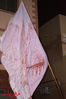 DSC_0416.jpg