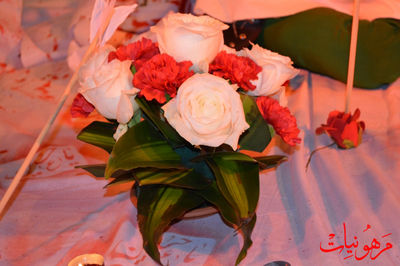DSC_0662.jpg