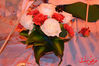 DSC_0662.jpg