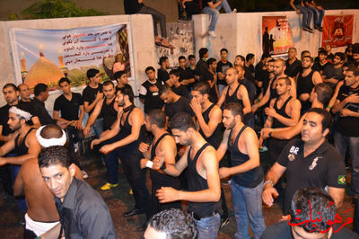 DSC_0790.jpg