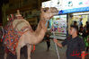 Filename=DSC_0550.jpg
Filesize=286KiB
Dimensions=640x426
Date added=Nov 18, 2013 DSC_0550.jpg