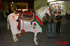 Filename=DSC_0561.jpg
Filesize=270KiB
Dimensions=640x426
Date added=Nov 18, 2013 DSC_0561.jpg