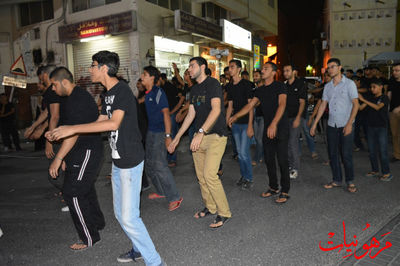 1DSC_0808.jpg