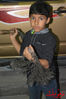 DSC_0485.jpg