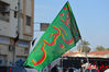 DSC_0241.jpg