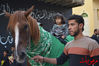 Filename=DSC_0628.jpg
Filesize=244KiB
Dimensions=640x426
Date added=Jan 02, 2014 DSC_0628.jpg