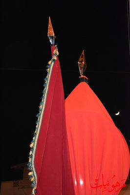 DSC_0375.jpg