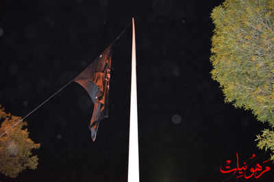 DSC_0445.jpg