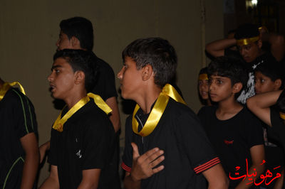 DSC_0029.jpg