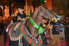 DSC_0164.jpg