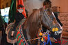 DSC_0189.jpg