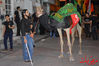 DSC_0142.jpg