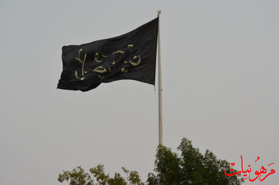DSC_0135.jpg