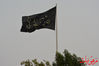 DSC_0135.jpg