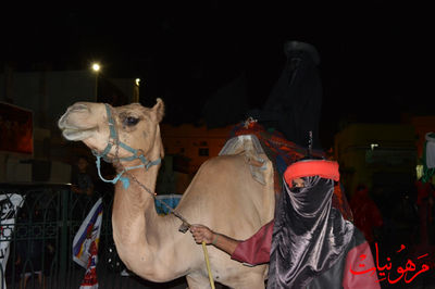 DSC_0572.jpg