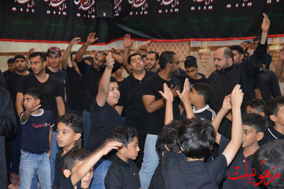 DSC_0491.jpg