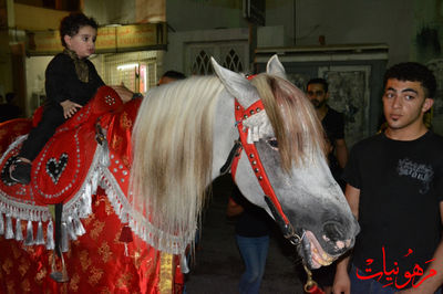 DSC_0131.jpg