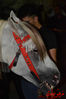 DSC_0136.jpg