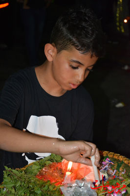 DSC_0198.jpg